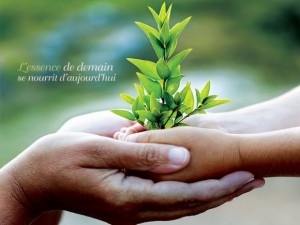 Exemple d'ecard